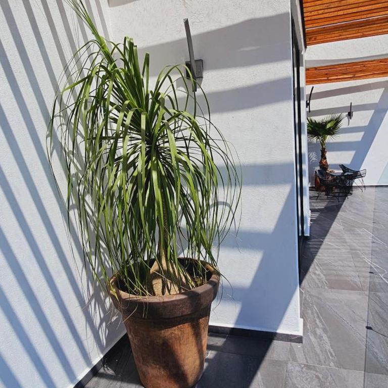 El Balcón del Viento II, Espectaculares vistas al Borde del Cerro! - Casa de 4 dormitorios - 21