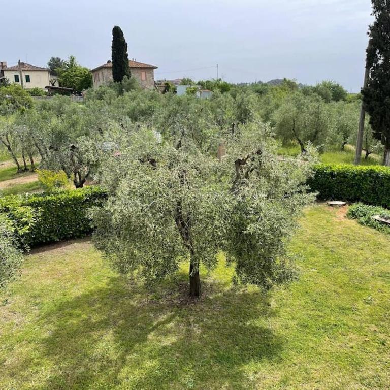 Lo Scosso Siena - Casa con 3 Camere da Letto - 7