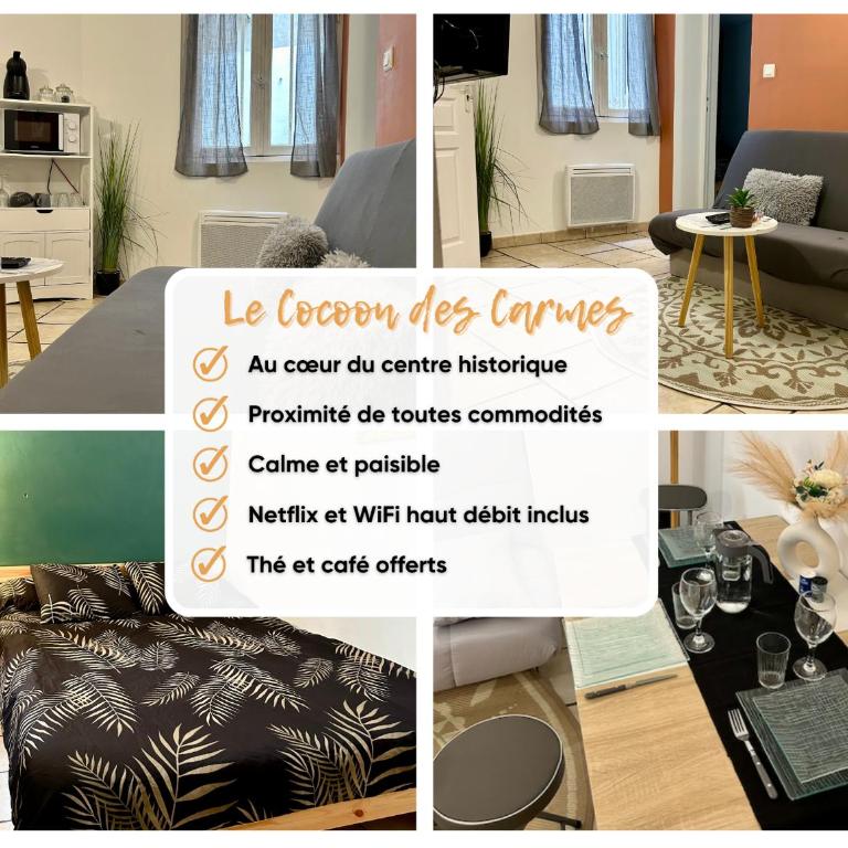 Le Cocon des Carmes - Hypercentre - One-Bedroom Apartment - 2