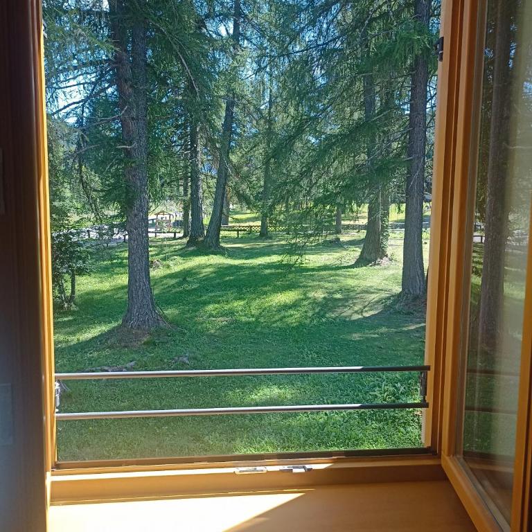 Bellamonte Villa Larici primo piano - Appartamento con 1 Camera da Letto - 1