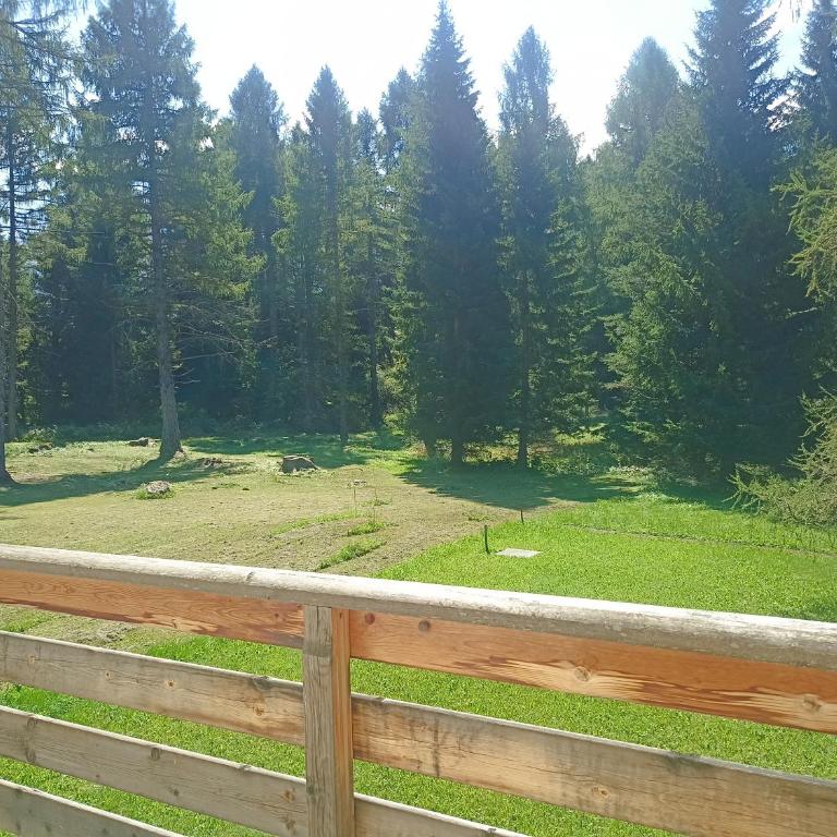 Bellamonte Villa Larici primo piano - Appartamento con 1 Camera da Letto - 32