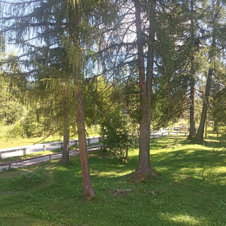 Bellamonte Villa Larici primo piano - Appartamento con 1 Camera da Letto - 35