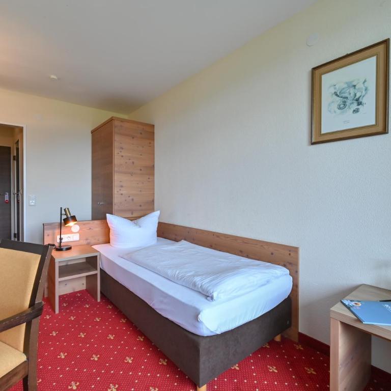 Rothenfels Panorama Hotel - Einzelzimmer mit Balkon und Seeblick - 1
