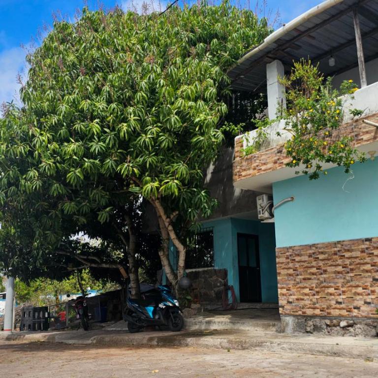 Flor's House - Double Room with Private Bathroom - 10