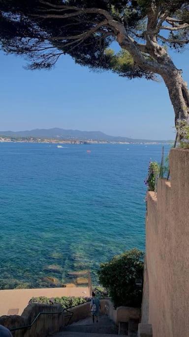 La Parenthèse Bleue - Sanary sur Mer - One-Bedroom Apartment - 13