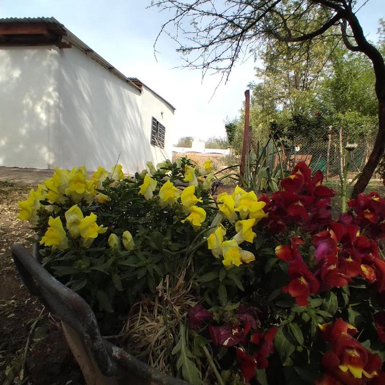 Che Sy ha Che Ru - Casa con 1 dormitorio - 21