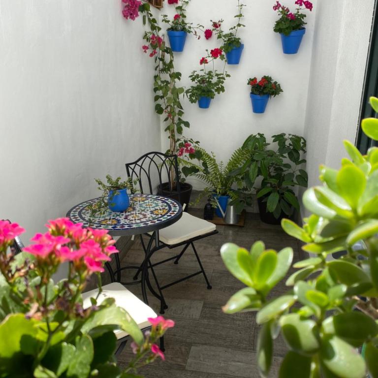 La Almunia de Córdoba - Apartamento de 1 dormitorio - 15