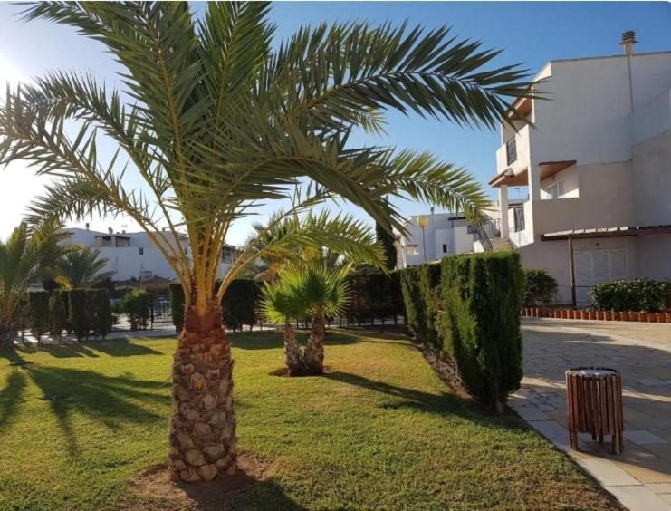 Naturista Vera Playa - Apartamento de 1 dormitorio - 11