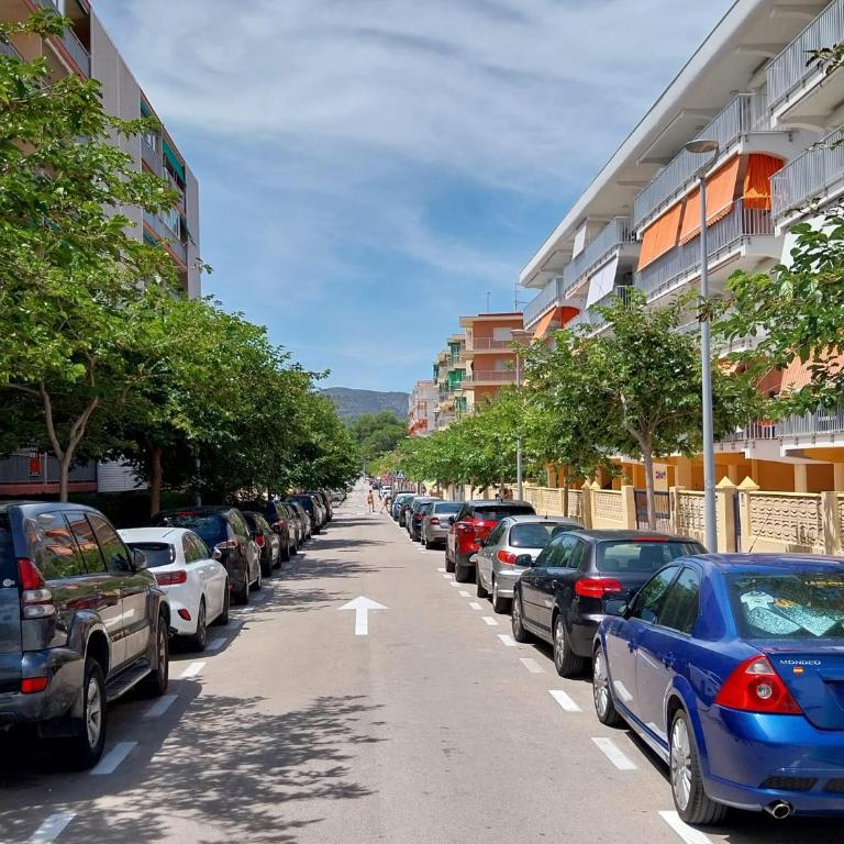 Alina - Apartamento de 1 dormitorio - 18