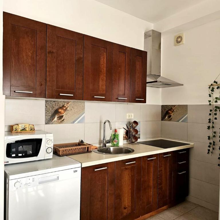 Apartmani Vesić - Apartman s 1 Spavaćom Sobom Kraj Mora - 12