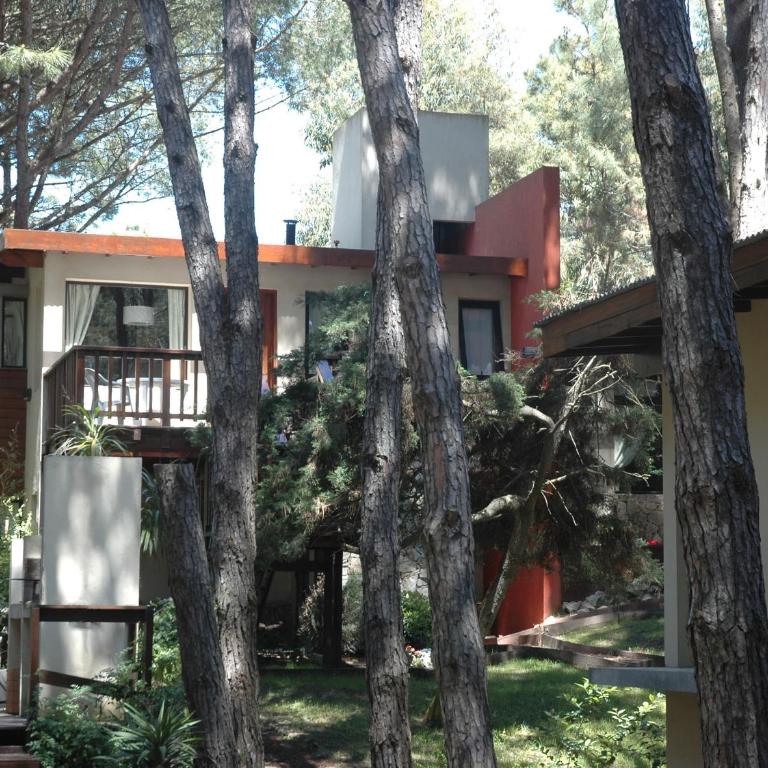 Del Lucero - One-Bedroom Apartment - 12