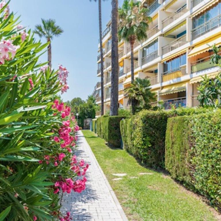 Beach Front Studio - Western Cannes - Apartment mit 1 Schlafzimmer - 15