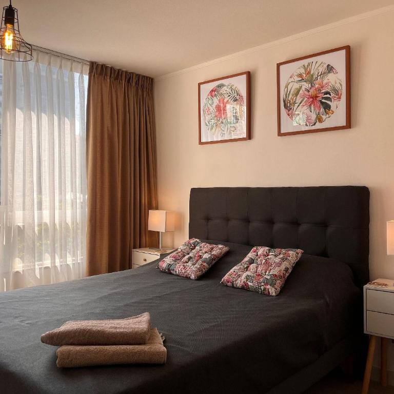 Living Rosas - Estudio Doble Deluxe - 18