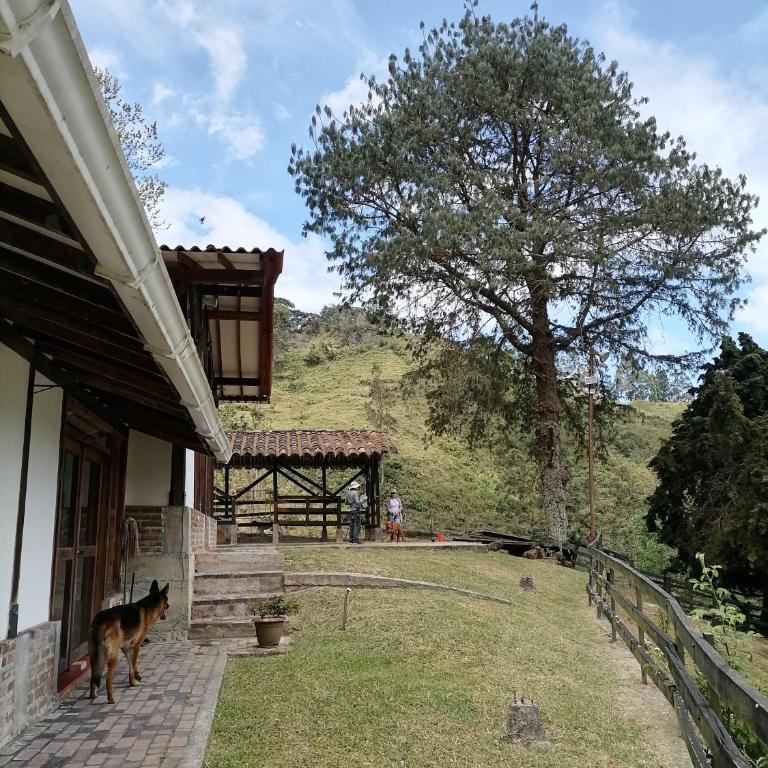 Moraia BioConecta Cabaña El Roble - Superior Chalet - 7