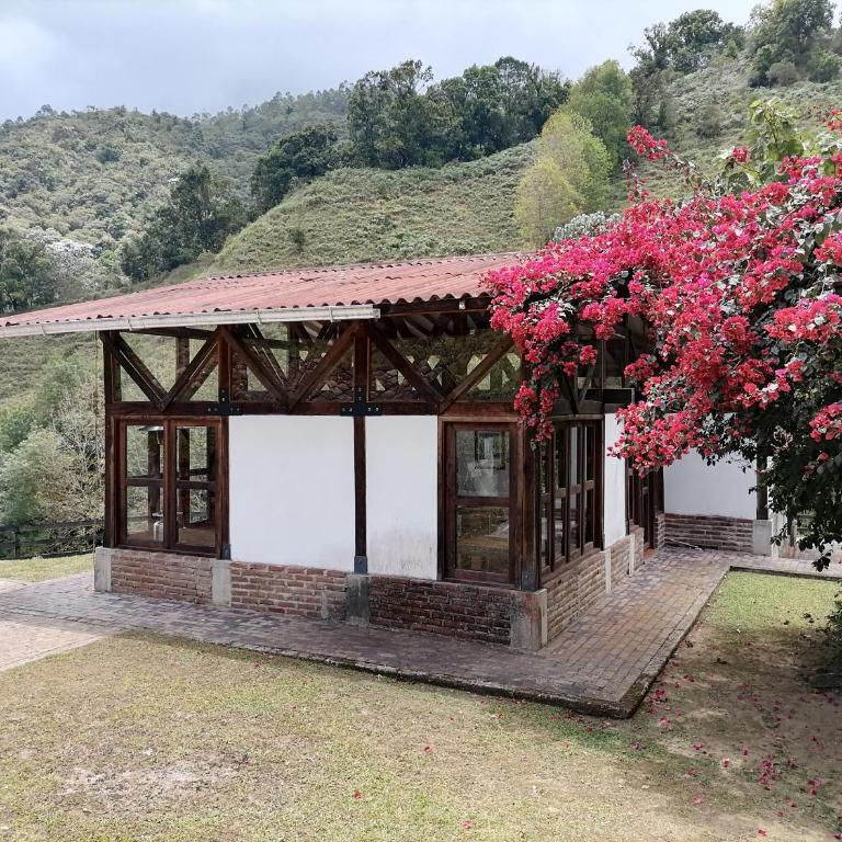 Moraia BioConecta Cabaña El Roble - Superior Chalet - 6
