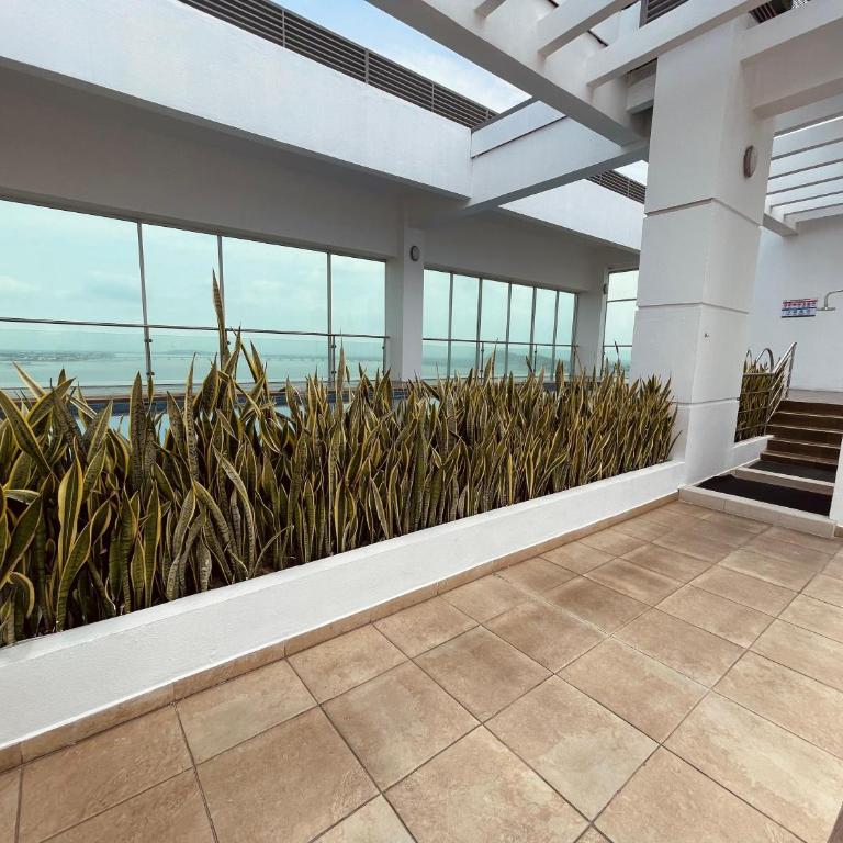 Gallery Suite en Riverfront Puerto Santa Ana - Suite Junior con vistas a la montaña - 30