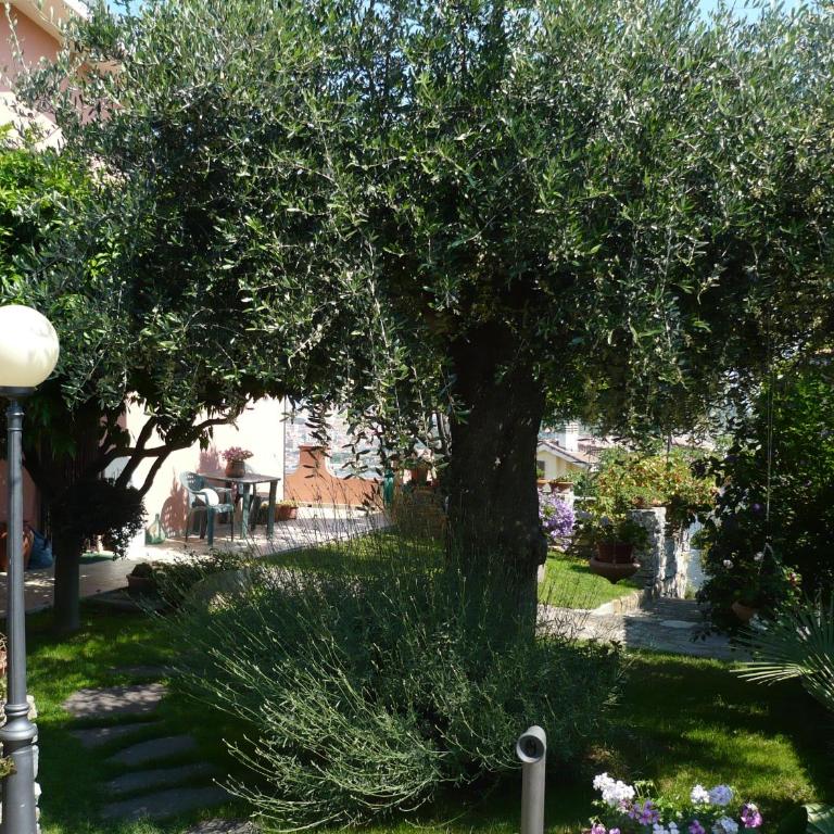 Azienda Agrituristica Villa Arianna - Appartamento Superior - 9