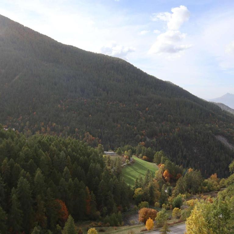 Bel appartement 2 pièces, accès pistes, Les Orres - FR-1-322-652 - Appartamento - 11