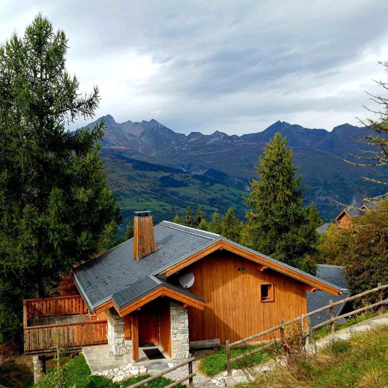 Chalet de charme 6 pers. à Vallandry près des pistes et commerces - FR-1-411-957 - Chalet - 2