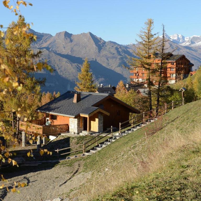 Chalet de charme 6 pers. à Vallandry près des pistes et commerces - FR-1-411-957 - Chalet - 5