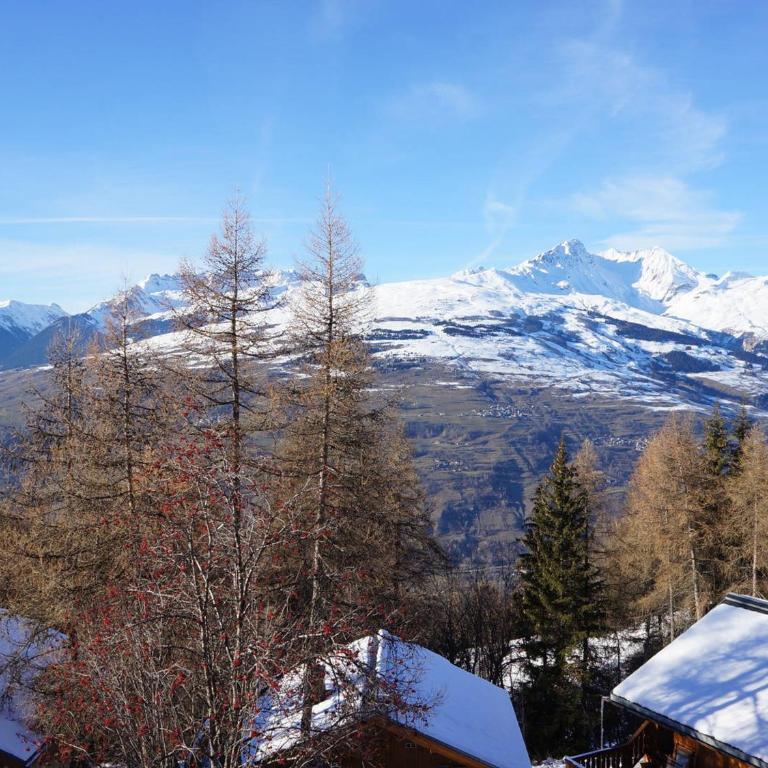 Chalet de charme 6 pers. à Vallandry près des pistes et commerces - FR-1-411-957 - Chalet - 6