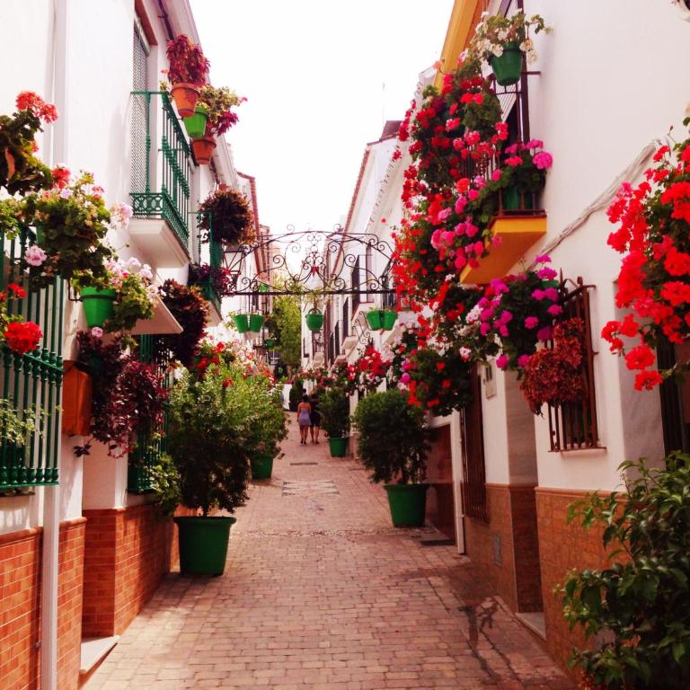 Bahia De Casares - Apartamento - 41