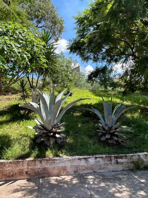 Casa Antares24, Departamento de confort y descanso - Two-Bedroom Apartment - 33