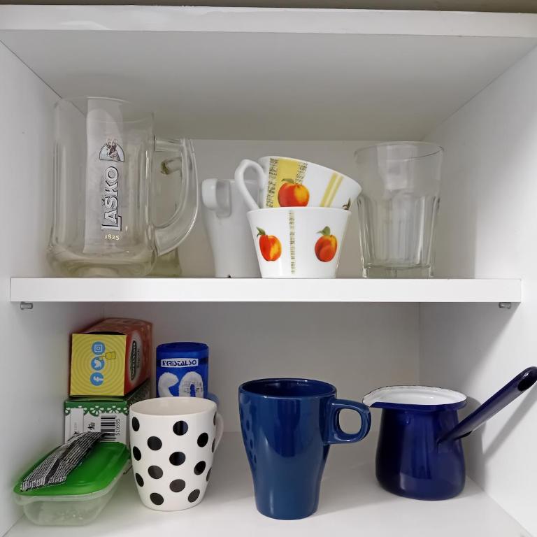 Iv Skadarlija - Studio - 10