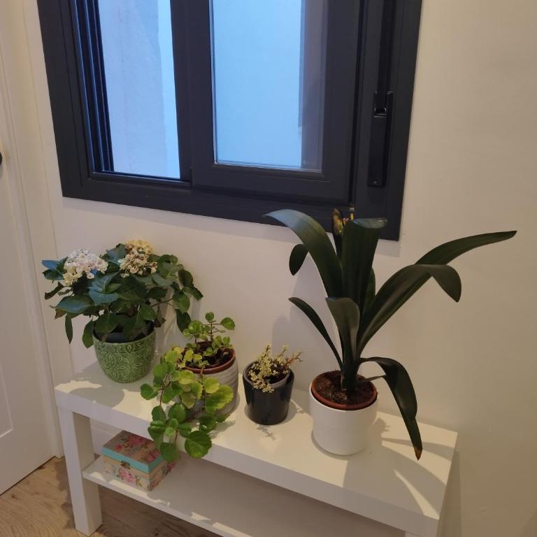 Calle Pureza Nº59 - Apartamento de 1 dormitorio - 4