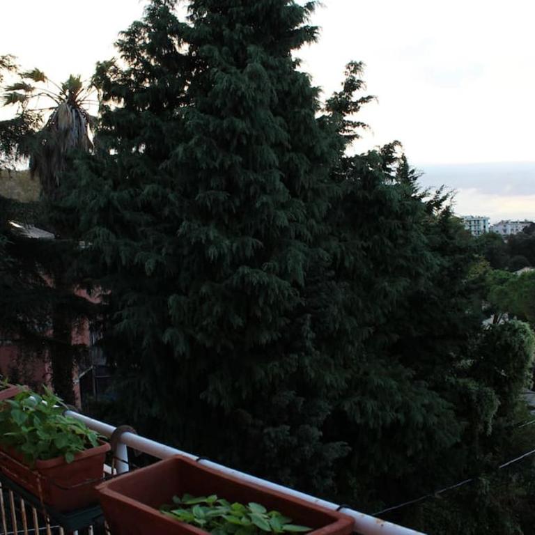 Casa My Home Genova - 14 minuti dal Centro - 5 minuti a piedi dal Gaslini - Appartamento con 1 Camera da Letto - 13