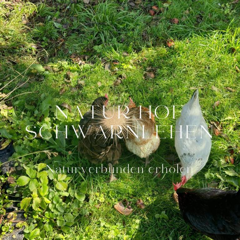 Natur Hof Schwarnlehen - Apartment - 39