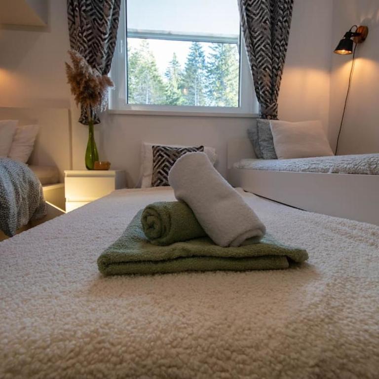 Bella Apartment - Sunčana dolina - Apartman sa 1 Spavaćom Sobom - 29
