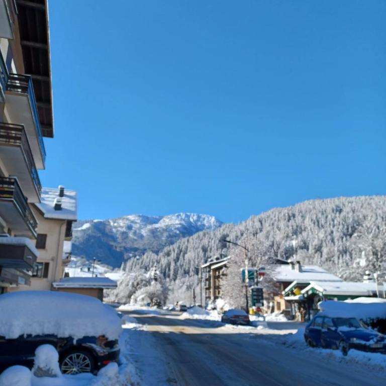 Refuge des Alpages - Duplex - Vue Aiguillette des Houches - Appartement 2 Chambres - 16