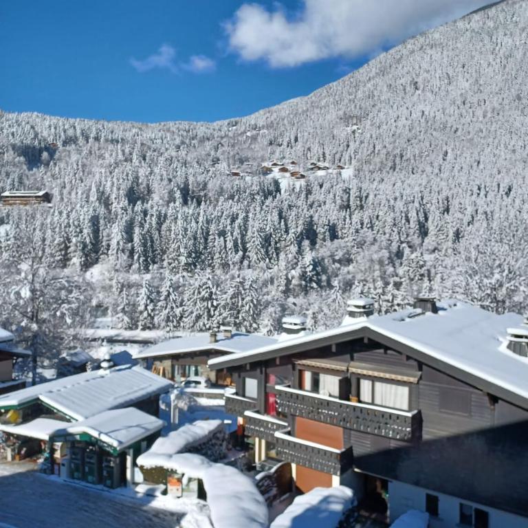 Refuge des Alpages - Duplex - Vue Aiguillette des Houches - Appartement 2 Chambres - 14