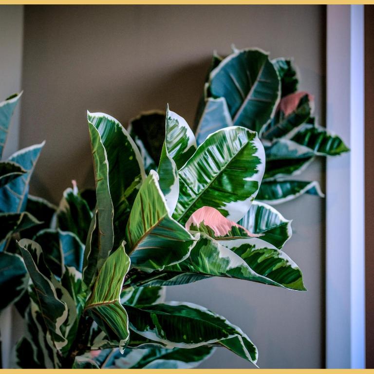 Chez Matias I T3 I Ville-la-Grand - Appartement 2 Chambres - 23