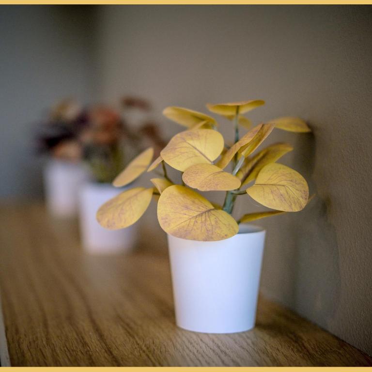 Chez Matias I T3 I Ville-la-Grand - Appartement 2 Chambres - 26
