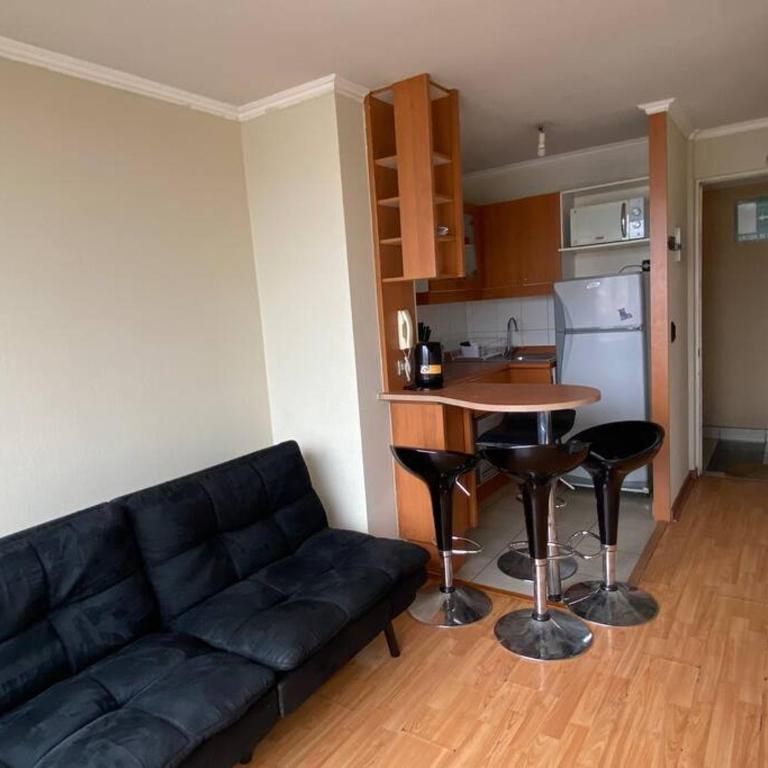 Acogedor departamento Santiago Centro 509 - Apartamento de 1 dormitorio - 1