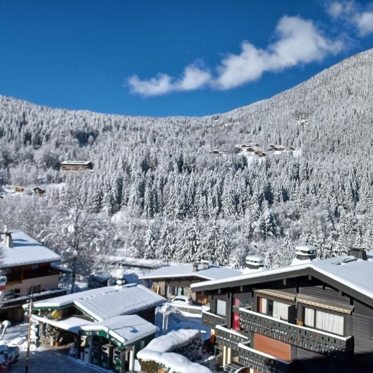 Refuge des Alpages - Duplex - Vue Aiguillette des Houches - Appartement 2 Chambres - 3