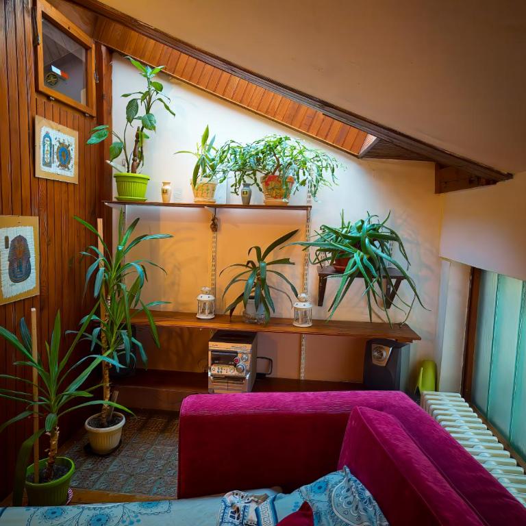 Vintage House on Sava Temple Street - Apartman sa 3 Spavaće Sobe i Balkonom - 36