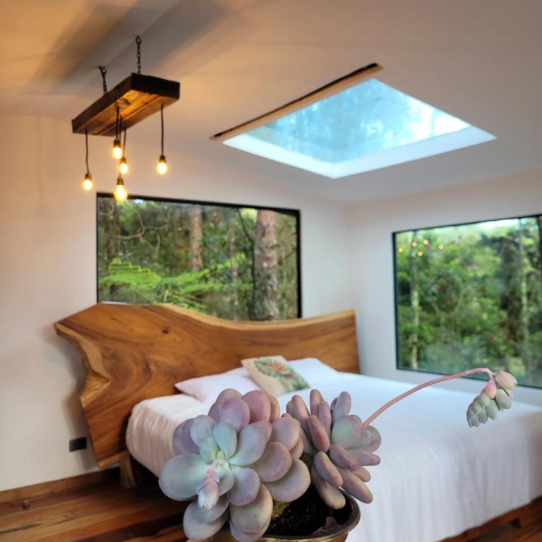 Cabaña Aventurina- La pascana Ecolodge Entorno natural excepcional, conexión con la naturaleza y avistamiento de aves, Ubicado a 3km del metrocable y Parque Arvi, Guarne - Chalet de 1 dormitorio - 2