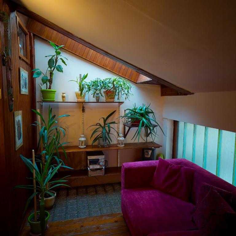 Vintage House on Sava Temple Street - Apartman sa 3 Spavaće Sobe i Balkonom - 40