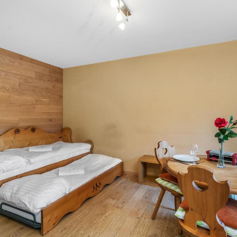 Chaleureux studio avec vue sur les montagnes - Appartement 1 Chambre - 12