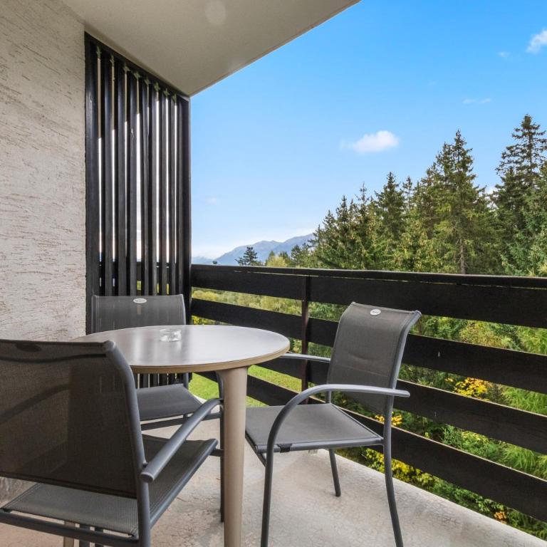Chaleureux studio avec vue sur les montagnes - Appartement 1 Chambre - 17