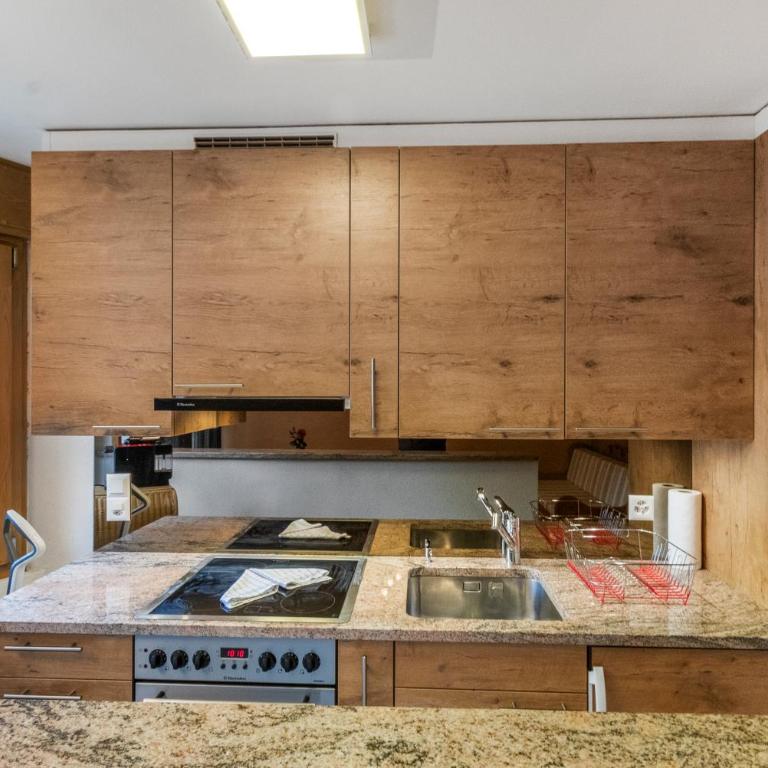 Chaleureux studio avec vue sur les montagnes - Appartement 1 Chambre - 15