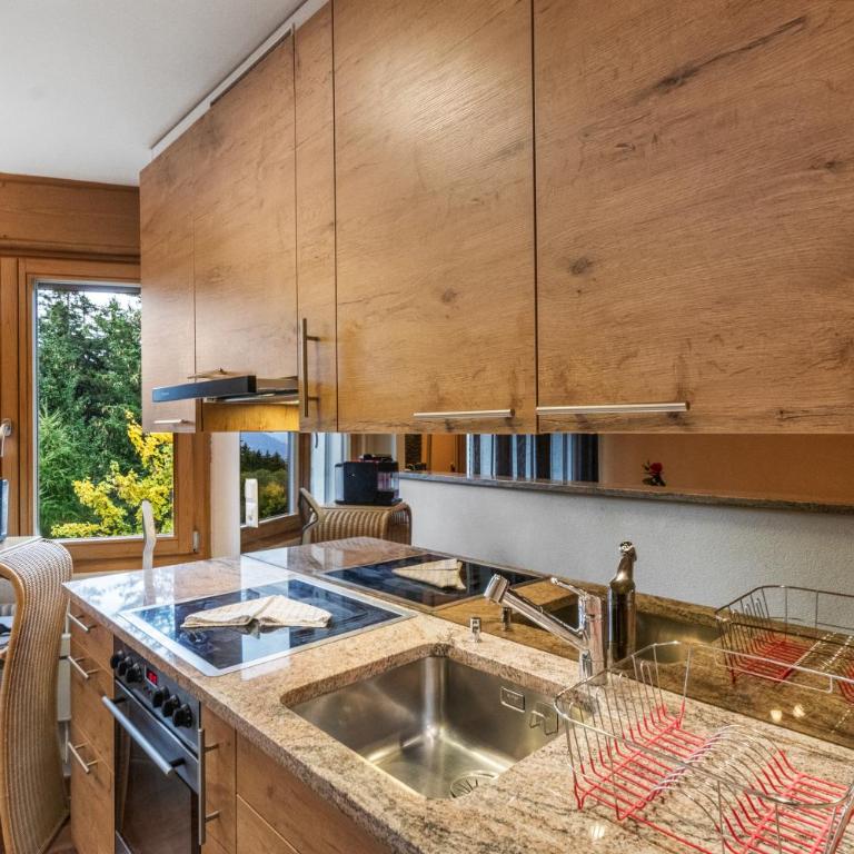 Chaleureux studio avec vue sur les montagnes - Appartement 1 Chambre - 3