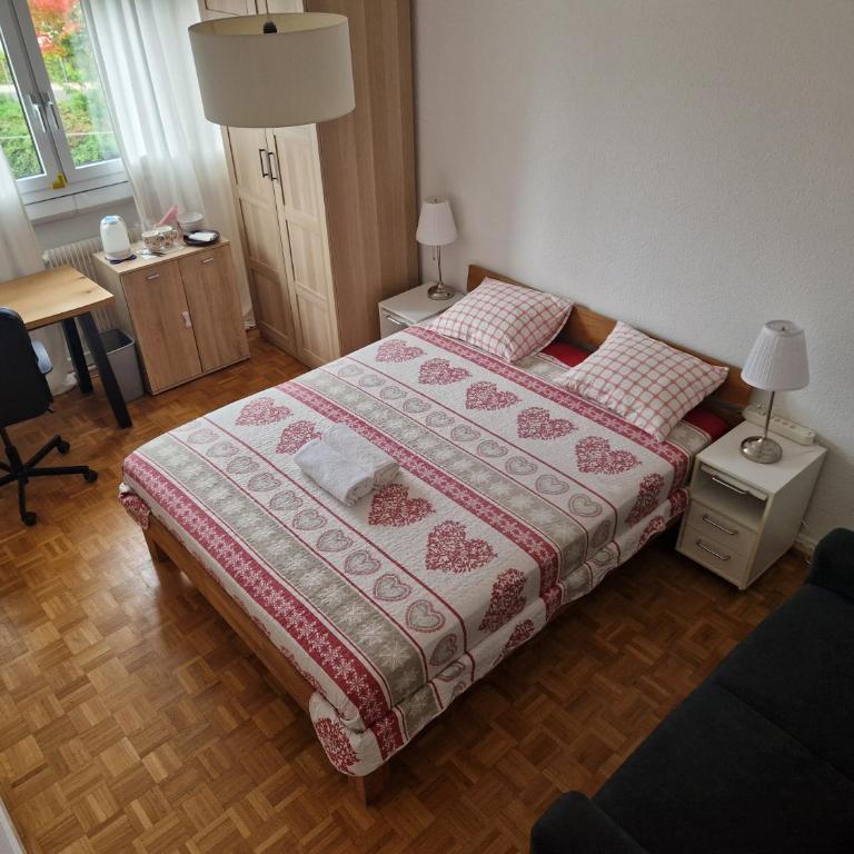 Room in Shared Apartment Geneva - Chambre Double avec Salle de Bains Commune - 1