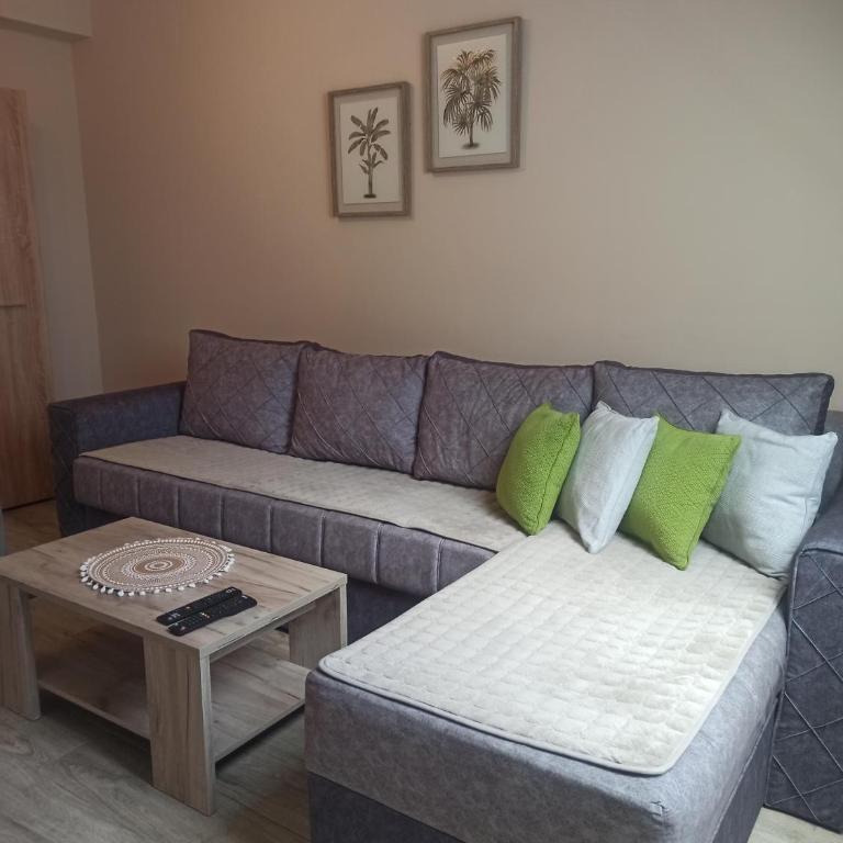Apartman Maksimović Divčibare - Apartman s 1 Spavaćom Sobom i Terasom - 8