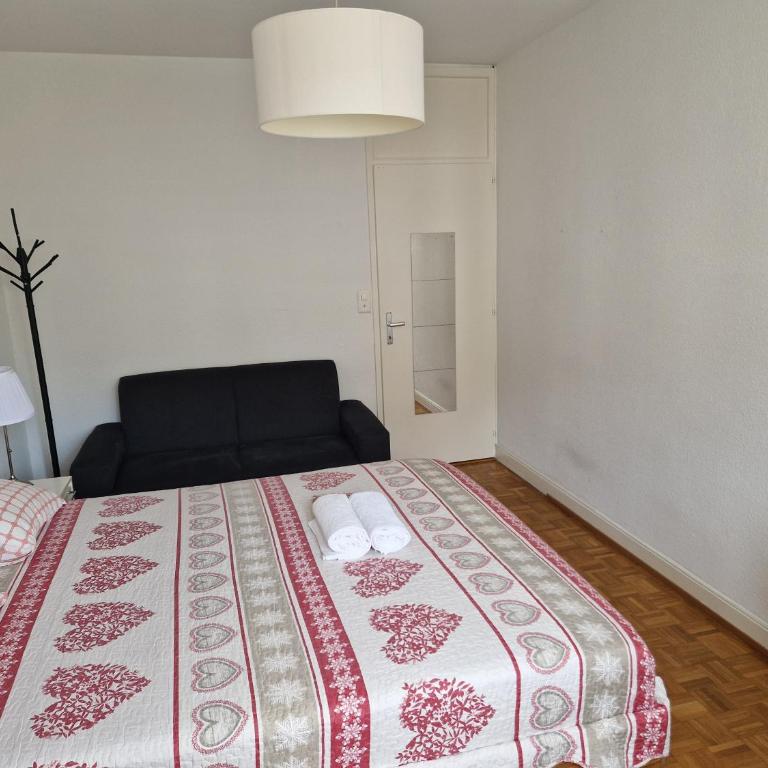 Room in Shared Apartment Geneva - Chambre Double avec Salle de Bains Commune - 4