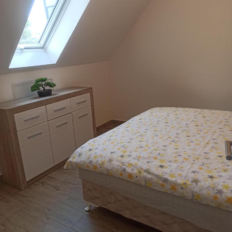 Apartman Maksimović Divčibare - Apartman s 1 Spavaćom Sobom i Terasom - 14