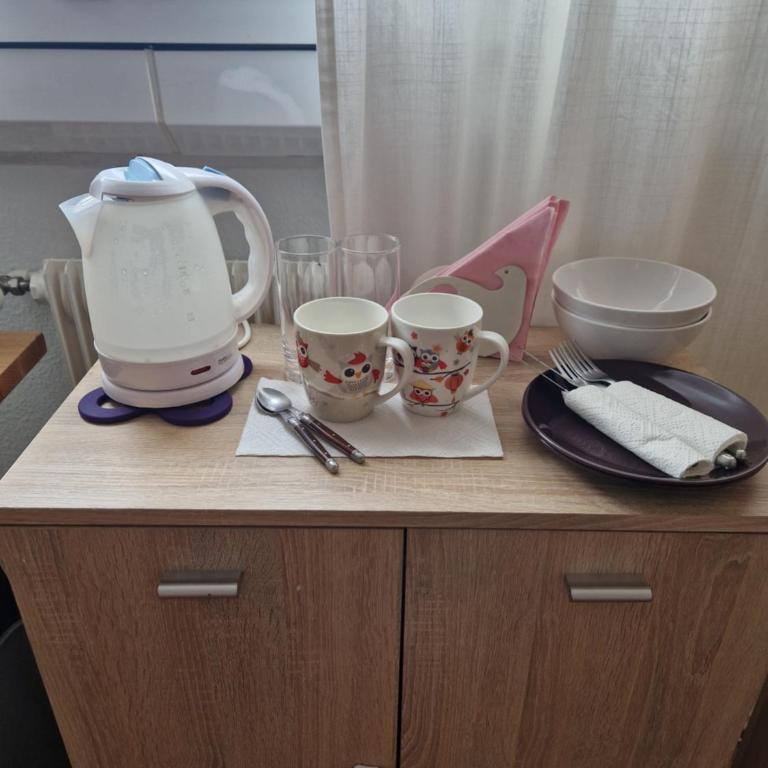 Room in Shared Apartment Geneva - Chambre Double avec Salle de Bains Commune - 7